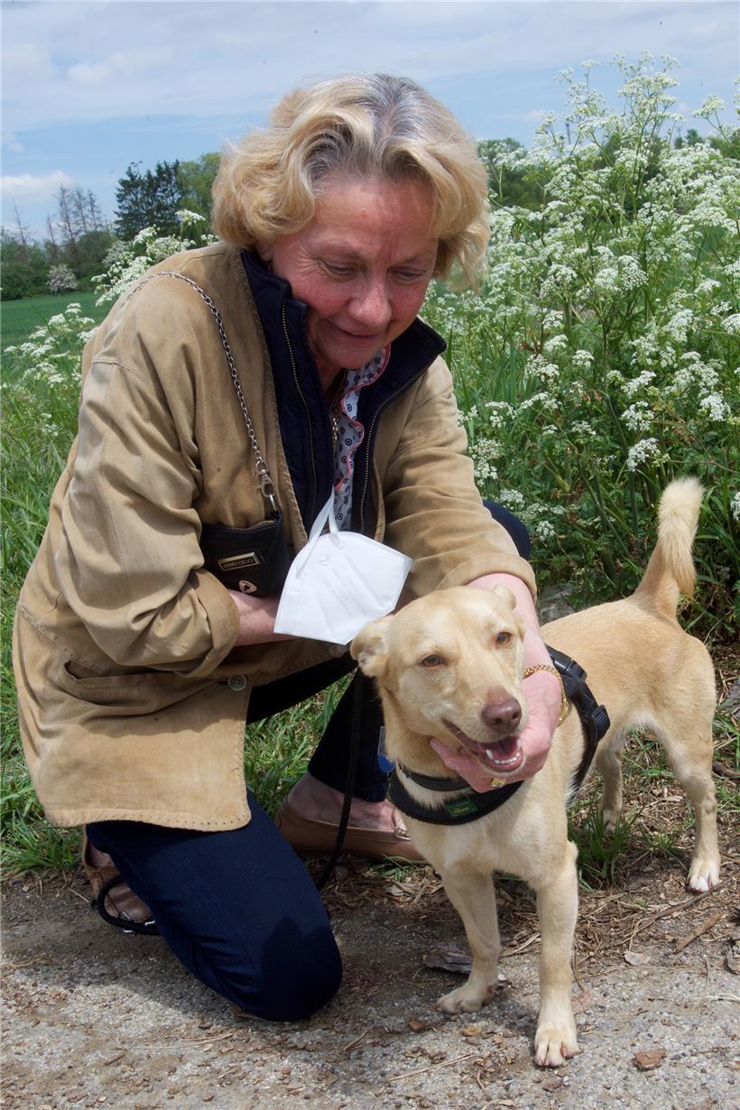 Bei der Vermittlung achten die Mitarbeiter des Tierheims darauf, dass Hund und Besitzer sich im wahrsten Sinne des Wortes auch riechen können

