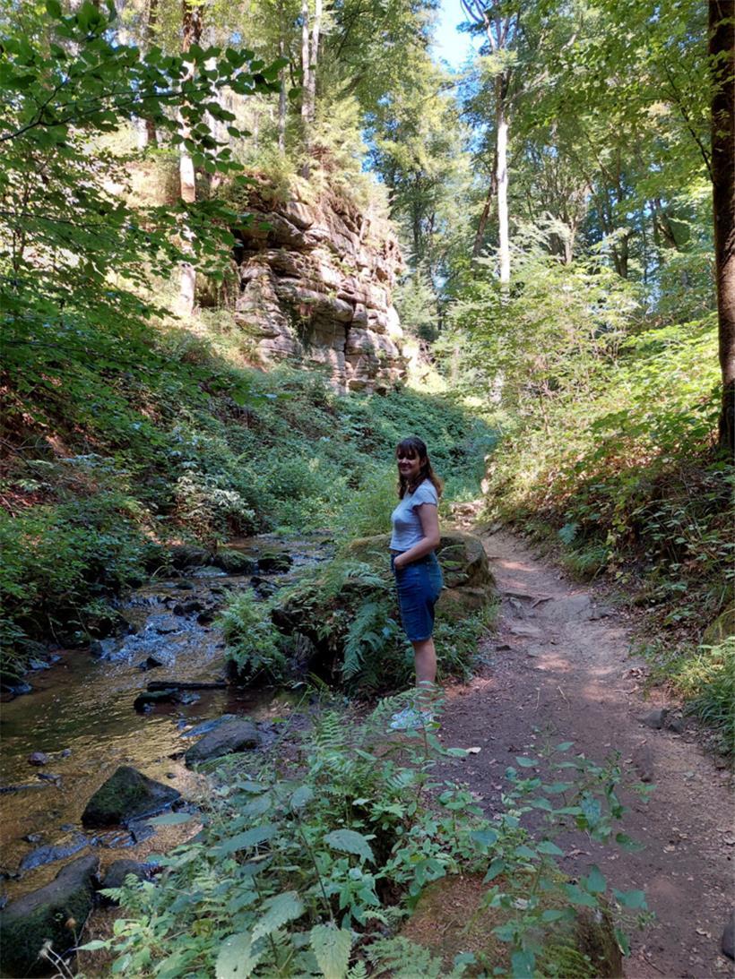 Bei der Wanderung durch den Wald kann ich meine Batterien wieder aufladen
