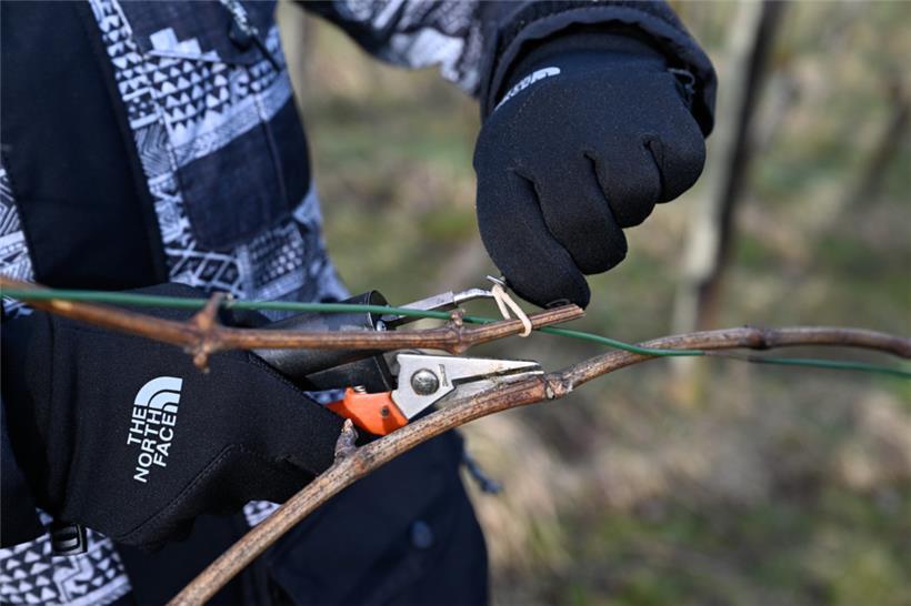 Bei der modernen Methode zieht man das Bindegarn mit einem Haken fest