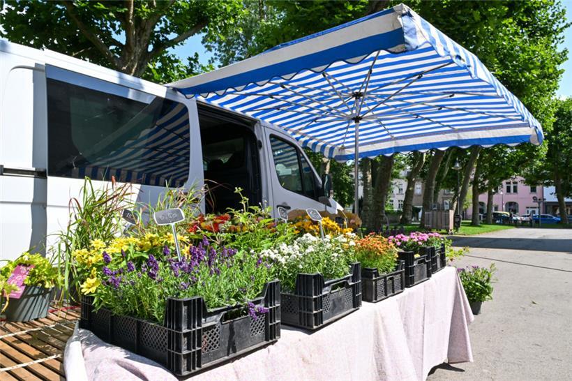 Bei schönem Wetter eine Augenweide