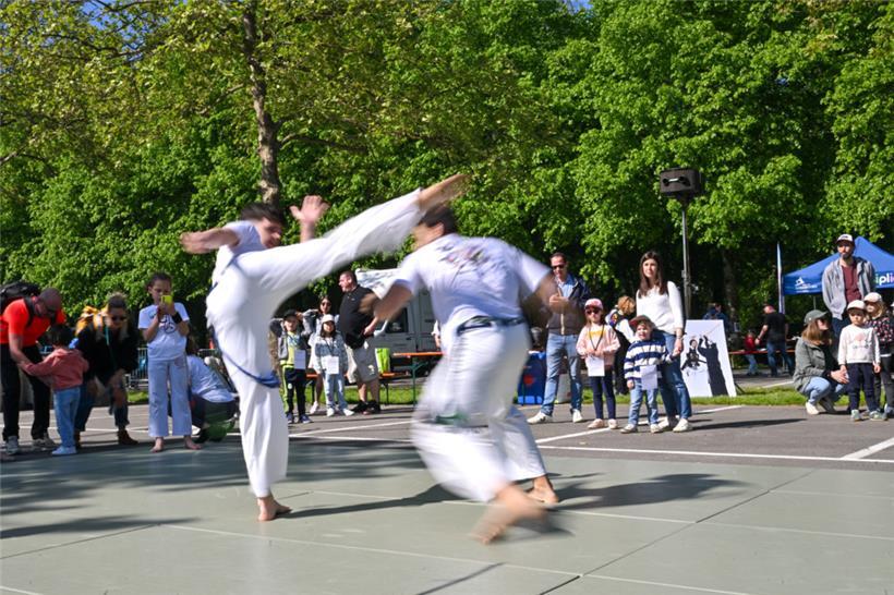 Beim „COSL-Spillfest“ auf Kockelscheuer kann man mehrere Sportarten entdecken – darunter auch Kampfsport
