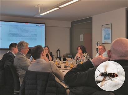 Gemeindeverantwortliche beim Syvicol-Treffen diskutieren Strategien zur Bekämpfung der asiatischen Hornisse