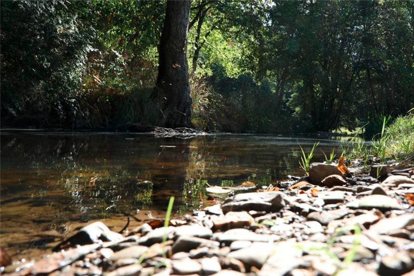 „Béiwenerbaach“