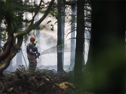 Belgische Feuerwehrleute stehen in einem Wald in der Ortschaft Sourbrodt und löschen immer wieder aufflammende kleine Glutnester ab