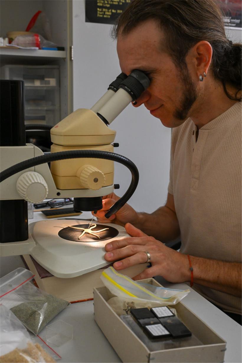 Ben Thuy verbringt viel Zeit am Mikroskop, um Proben von Fossilien genauer unter die Lupe zu nehmen
