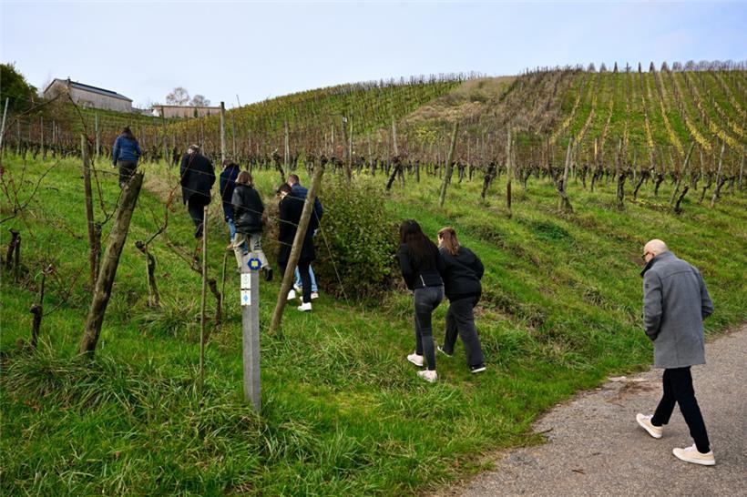 Bereit zum Aufstieg: Eine schön am Hang gelegene Parzelle auf dem Remicher Galge...