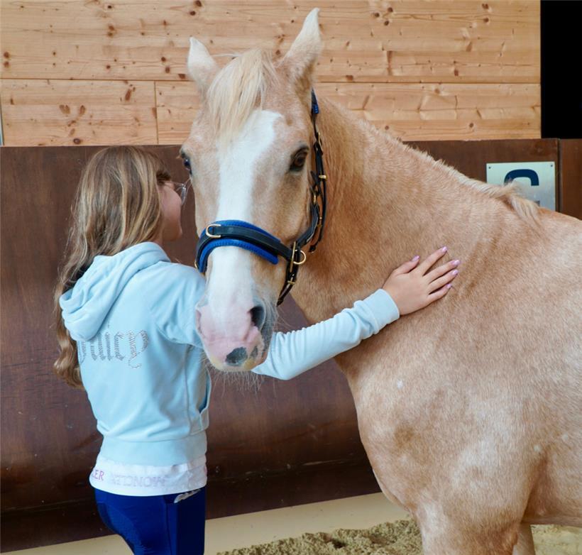 Bereits das bloße Beisammensein mit Pferden kann therapeutisch wirken