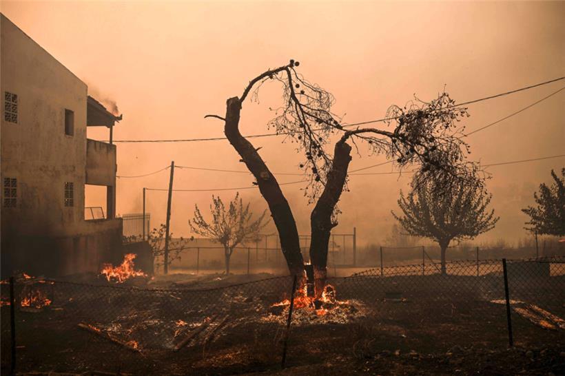 Bereits mehr als 73.000 Hektar sollen verbrannt sein

