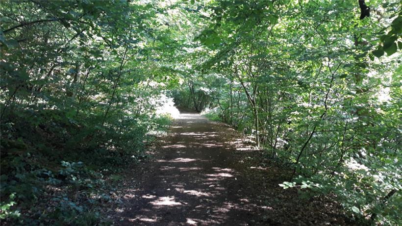 Beruhigende Natur: Ein Weg auf dem Prënzebierg im Naturschutzgebiet „Giele Botter“
