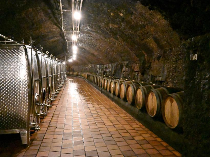Besichtigung der historischen Keller und modernen Produktionsräume im Entdeckungsprogramm einer Brauerei