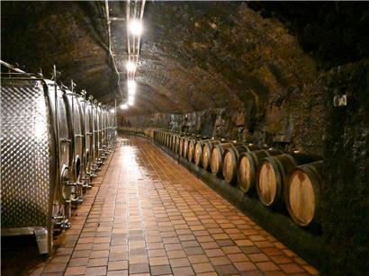 Besichtigung der historischen Keller und modernen Produktionsräume im Entdeckungsprogramm einer Brauerei