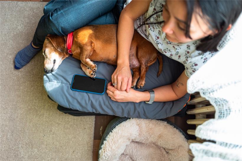 Besonders bitter: Das Warten. Auf die Behörden, Lebenszeichen von Verwandten – auf ein wenig Stabilität.
