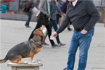 Betrüger lassen sich immer dreistere Maschen einfallen, um an Spendengelder zu gelangen

