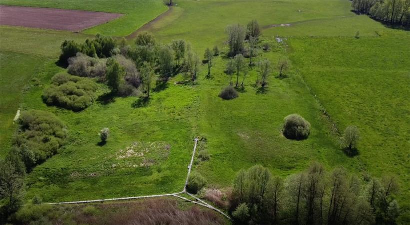 Im Naturschutzgebiet Marais de Grendel wächst Artenvielfalt über Grenzen hinweg 