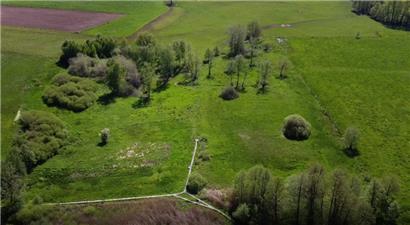 Im Naturschutzgebiet Marais de Grendel wächst Artenvielfalt über Grenzen hinweg