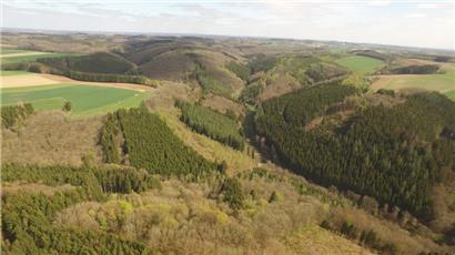 Die Teiche im Naturreservat Riedergrënn sind besonders attraktiv für Amphibien und Vögel