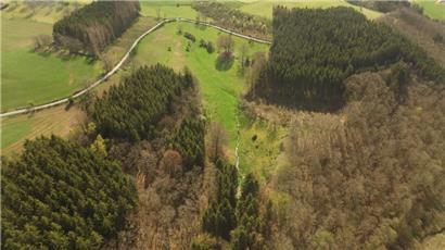 Ein Quellgebiet prägt das Naturschutzgebiet Oechelter 
