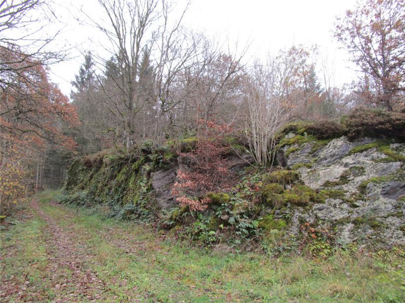 Auf Ehrlick, Ierplescht & Muderbach:  Traditionelle Ardennenlandschaft mit kargen und felsigen Böden 