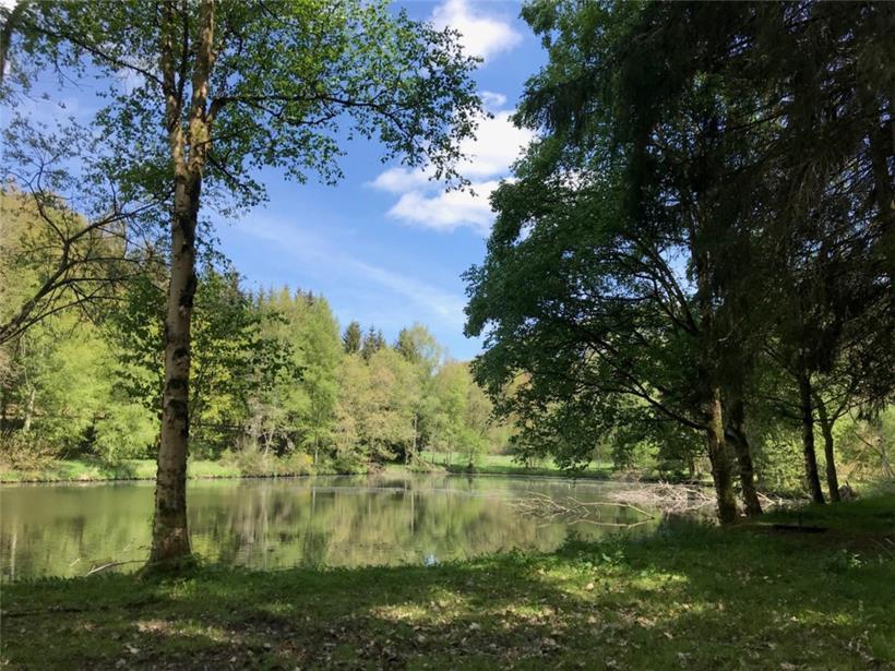 Das Naturschutzgebiet Rossmillen ist ein Rückzugsraum für Vögel und Fische 