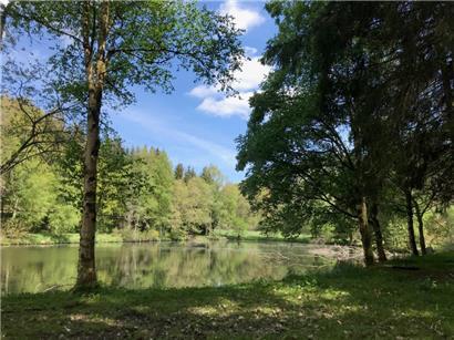Das Naturschutzgebiet Rossmillen ist ein Rückzugsraum für Vögel und Fische