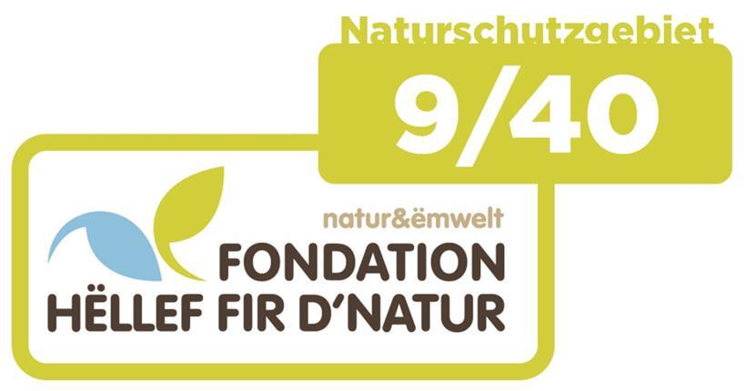 Das Naturschutzgebiet Rossmillen ist ein Rückzugsraum für Vögel und Fische 