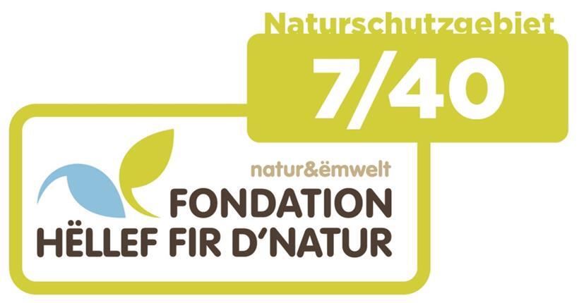 Schujansbësch: Zurückgeführt vom Kahlschlag zum naturnahen Laubwald 