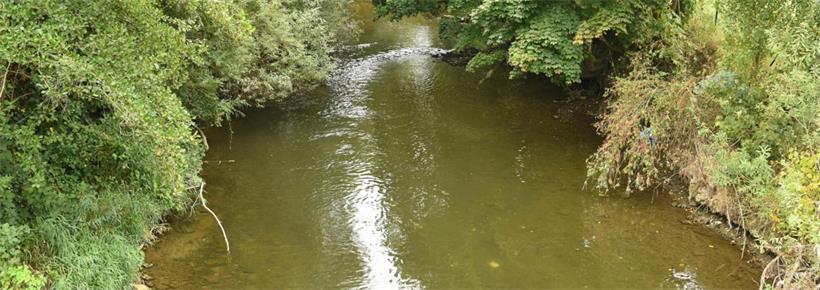 „Die Fische sind alle tot“: Alzette ist durch Abwasser extrem verschmutzt worden 