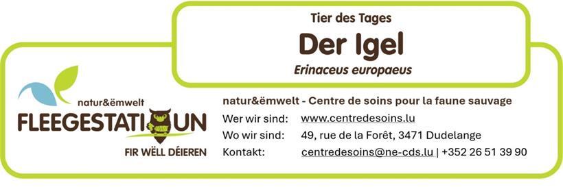 Der Igel: Ein wichtiger Indikator für den Zustand unserer Kulturlandschaft 