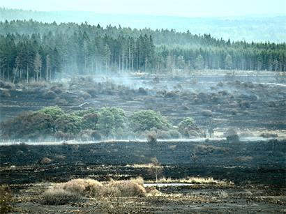 Brand im Hohen Venn: Staatsanwaltschaft vermutet „landwirtschaftliches Gerät“ als Ursache