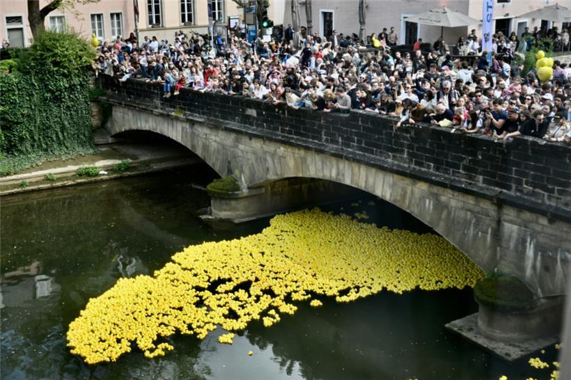 Quietsche-Enten schwimmen beim „Duck Race“ in Luxemburg-Grund für den guten Zweck 