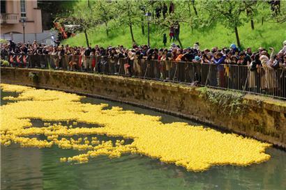 Enten an den Start: Das Duck Race 2025 ist zurück!
