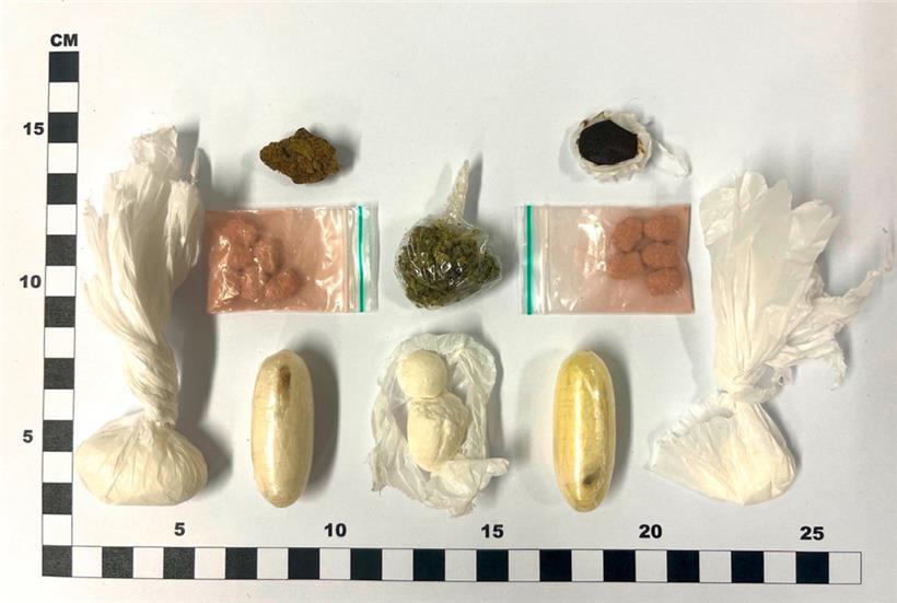 Drogenspürhund Chase erschnüffelt 40 Gramm Kokain im Zug – Mann verhaftet 