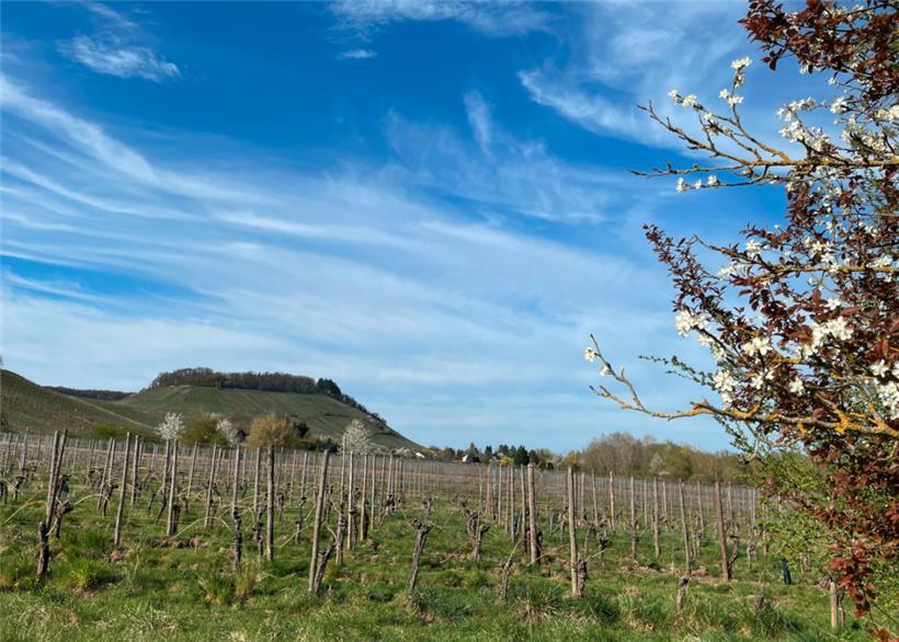 Die 20 Grad kommen zum Wochenende wieder – aber wahrscheinlich von Schauern getrübt 