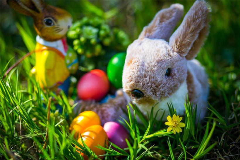 Globi et Glodi statt Urbi et Orbi 