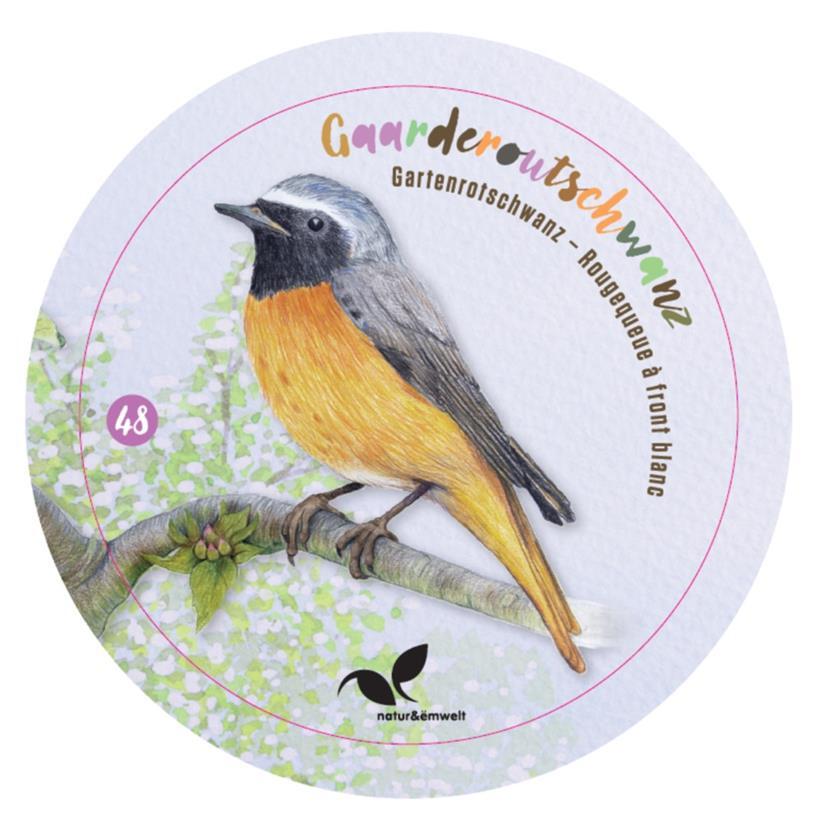 Der Gartenrotschwanz ist Luxemburgs Vogel des Jahres 2025 