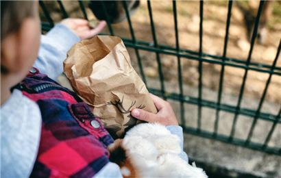 Schluss mit Gratis: Futter-Tüte für Tiere kostet künftig einen Euro