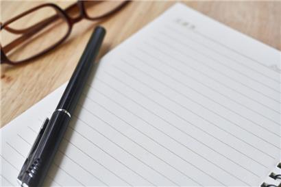 Der Geschichtsrevisionismus der AfD