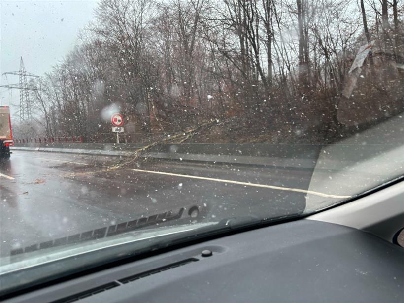 Hinter dem Tunnel Cents: Umgefallener Baum blockiert Teil der Fahrbahn 