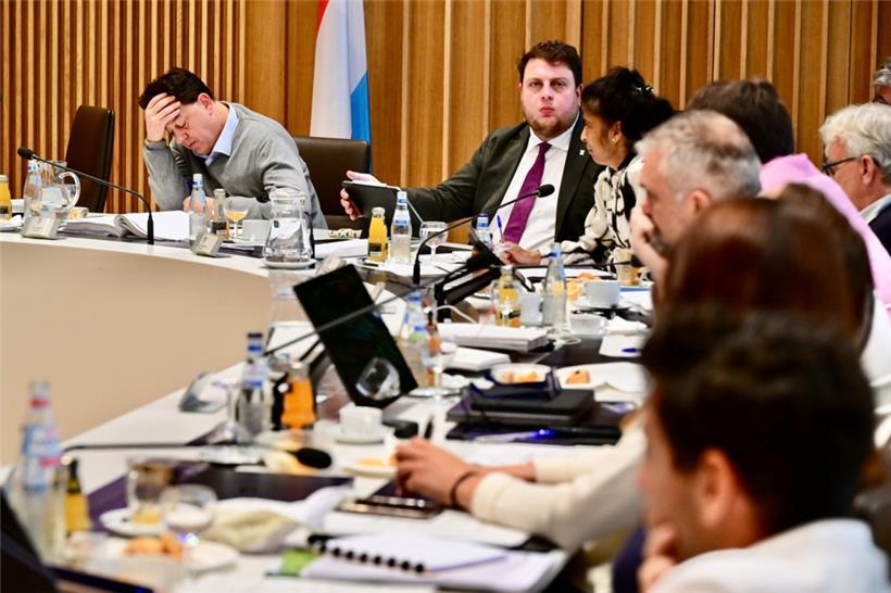 Juni: Rechtsruck bei den Europawahlen und ein sich anbahnender Thronwechsel in Luxemburg 