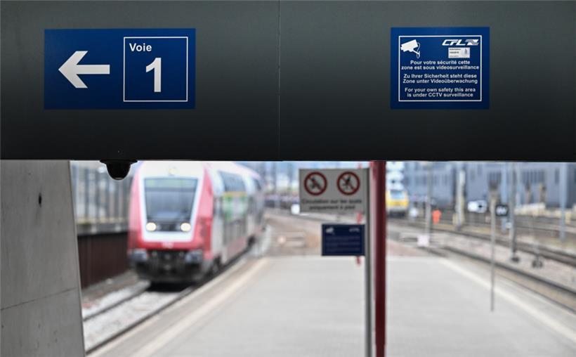 März: Ein EU-Spitzenkandidat, Sozialwahlen und Wetter made in Luxemburg 