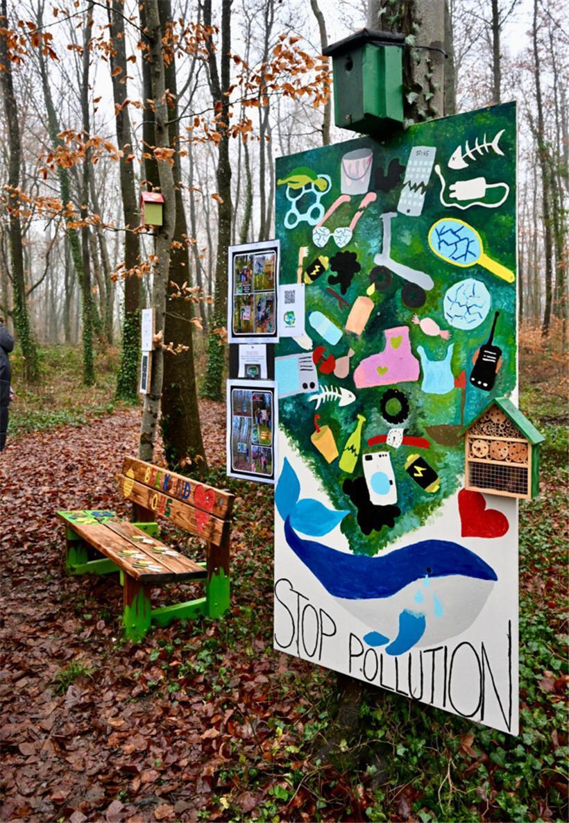 „Love Nature“: Fotowettbewerb soll die Natur näher bringen 