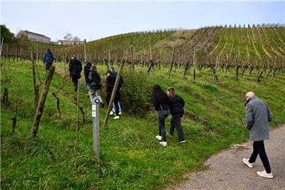 Ein Hoch auf die Weinbergdebütanten!
