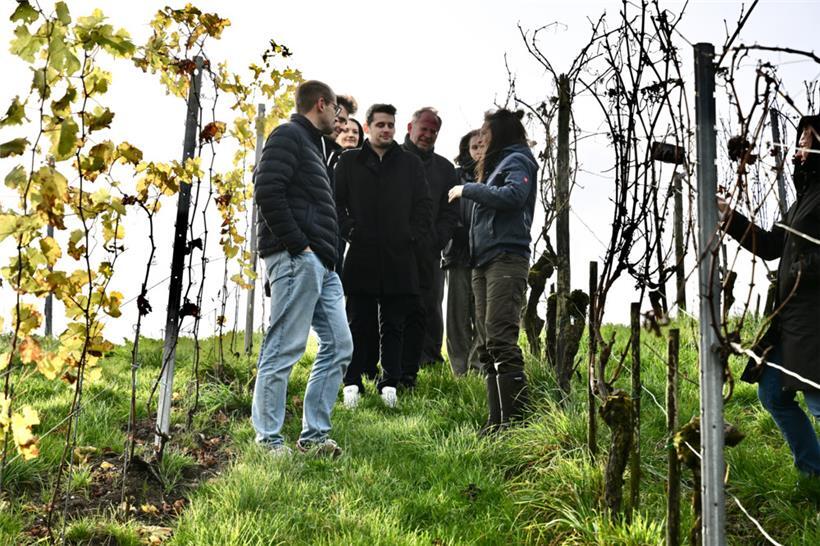 Zurück an die Schulbank: Wie Landwirte und Winzer in Unternehmensführung ausgebildet werden 