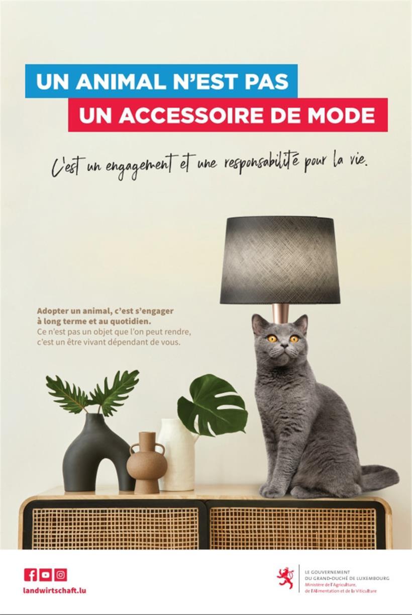 „Ein Tier ist kein Modeaccessoire“-Kampagne ruft zu einer verantwortungsvollen Tierhaltung auf 