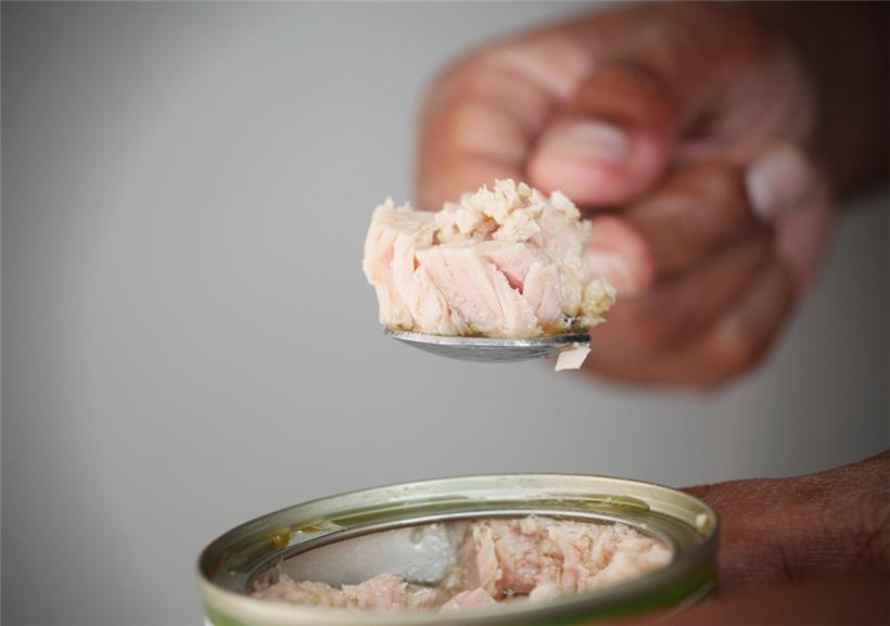 Quecksilber in Thunfischdosen: Keine akute Warnung in Luxemburg 