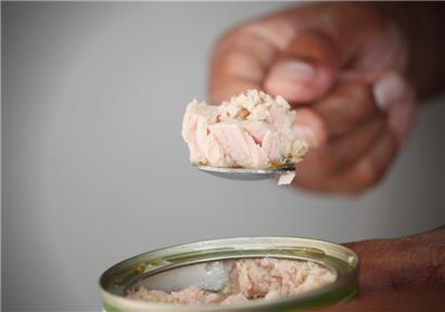 Quecksilber in Thunfischdosen: Keine akute Warnung in Luxemburg