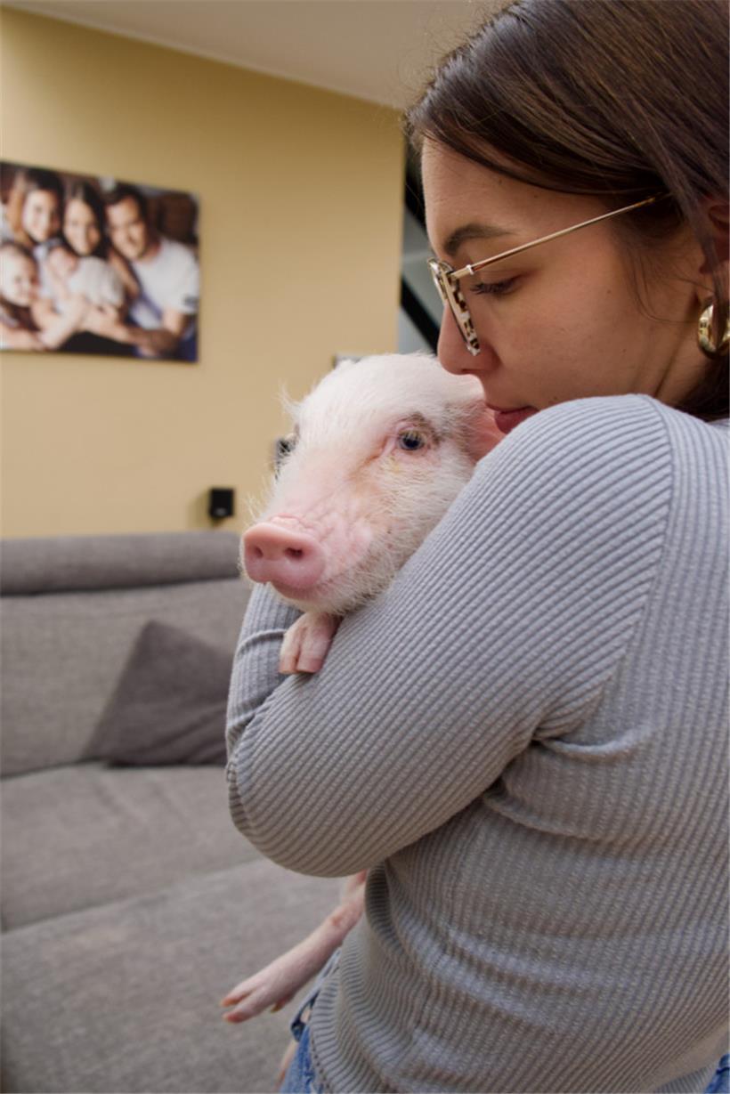 „Wie Hund und Katze in einem“ – Familie Pellé fordert neue Rechte für Hausschweine 