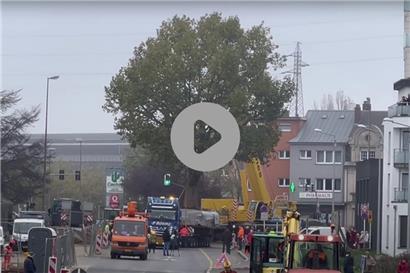 Hier fährt der 110-Tonnen-Baum über den Escher boulevard Grande-Duchesse Charlotte