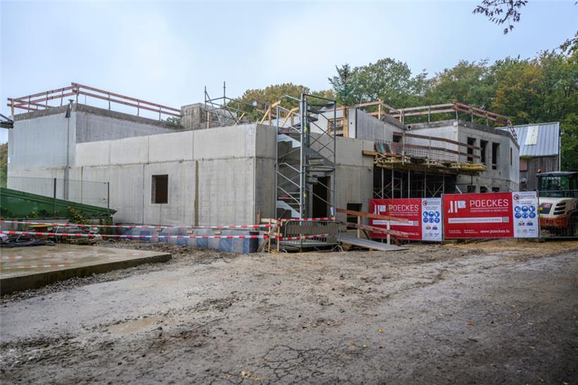 Dreimal mehr Hunde: Gemeinde vergrößert Tierasyl 