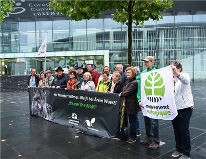 Mit dem Slogan #SaveTheWolf protestierte das „Mouvement écologique“ am Dienstagmorgen zusammen mit der „natur&ëmwelt asbl.“ gegen die Herabsetzung des Schutzstatus des Wolfs vor dem Umweltministerium
